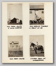 page09.jpg